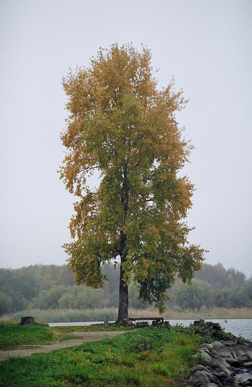2003-09-28 Kirillov-1